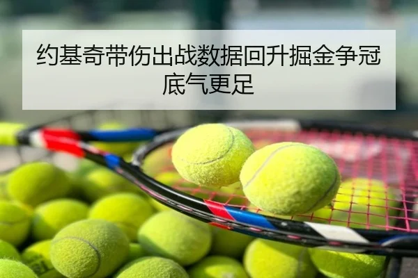 约基奇带伤出战数据回升掘金争冠底气更足