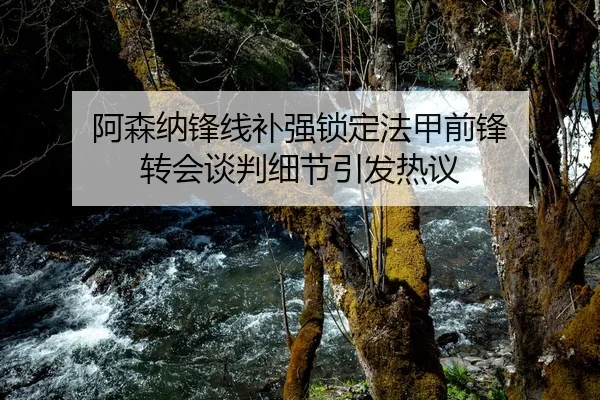 阿森纳锋线补强锁定法甲前锋 转会谈判细节引发热议
