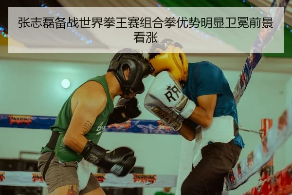 张志磊备战世界拳王赛组合拳优势明显卫冕前景看涨