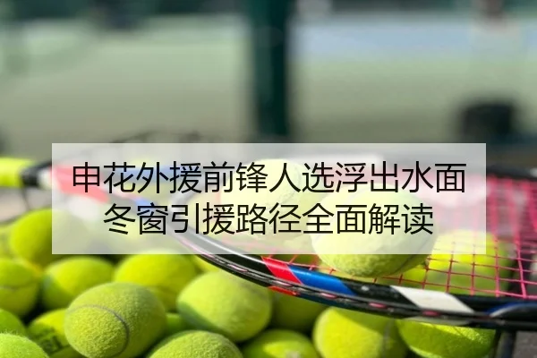 申花外援前锋人选浮出水面 冬窗引援路径全面解读