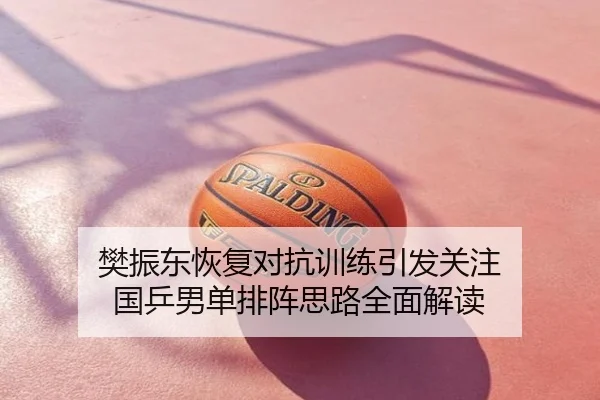 樊振东恢复对抗训练引发关注 国乒男单排阵思路全面解读